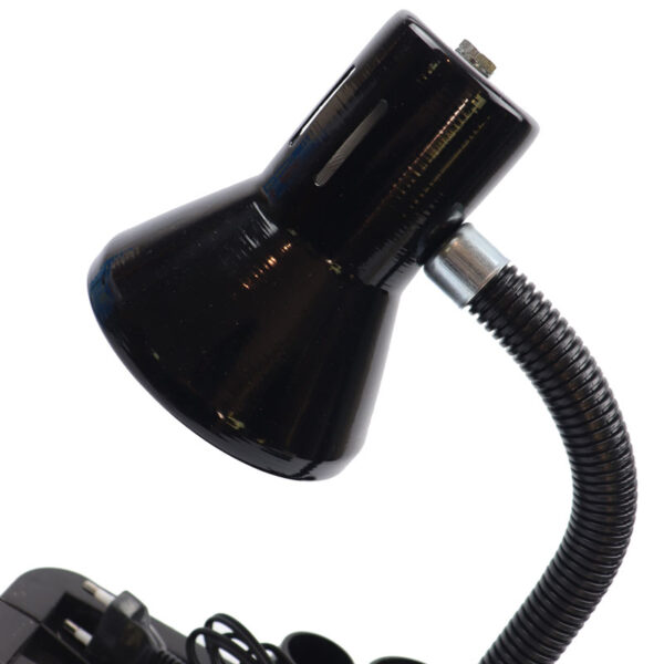 Karimzadeh DL 105 Bulb Desk Lamp 45