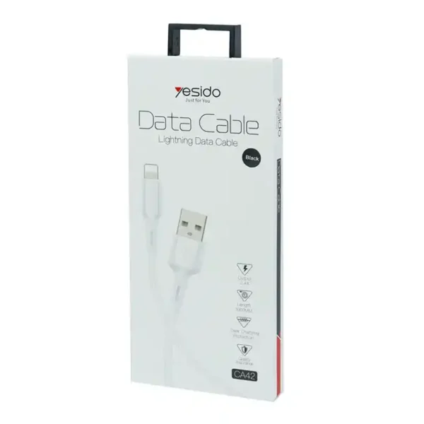 YESIDO CA42 1M LIGHTNING DATA CABLE