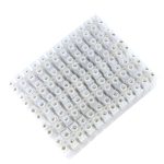 Iranvenus Terminal NO.16