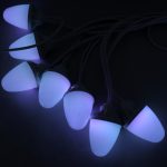 Multi Function Oak Light