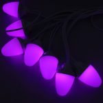 Multi Function Oak Light