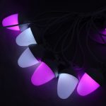 Multi Function Oak Light