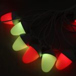 Multi Function Oak Light