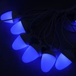 Multi Function Oak Light