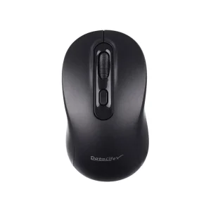 DATALIFE 273 wireless mouse