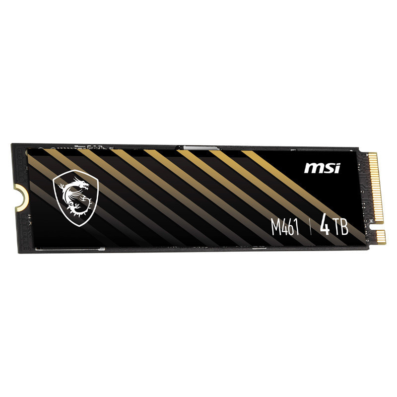 MSI Spatium M461 4TB M.2 SSD Internal Drive
