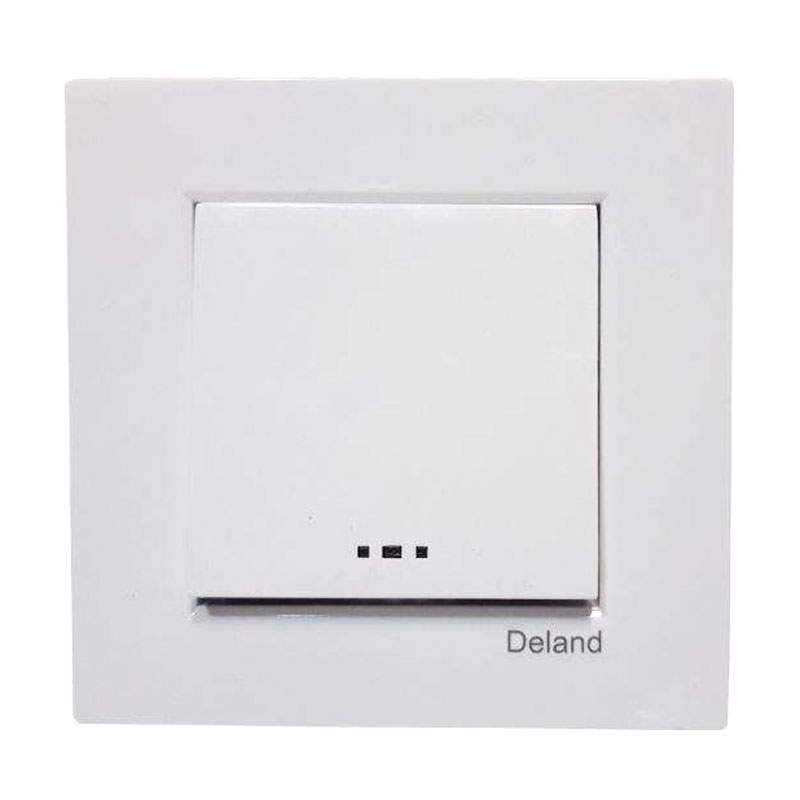 Deland Conversion Switch Asa model