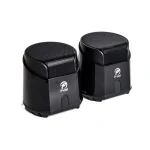 P-Net Speaker Model K500