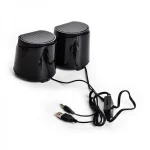 P-Net Speaker Model K500
